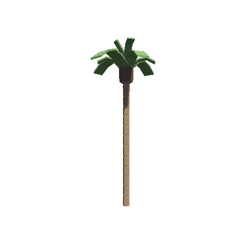 Palm Tree 02